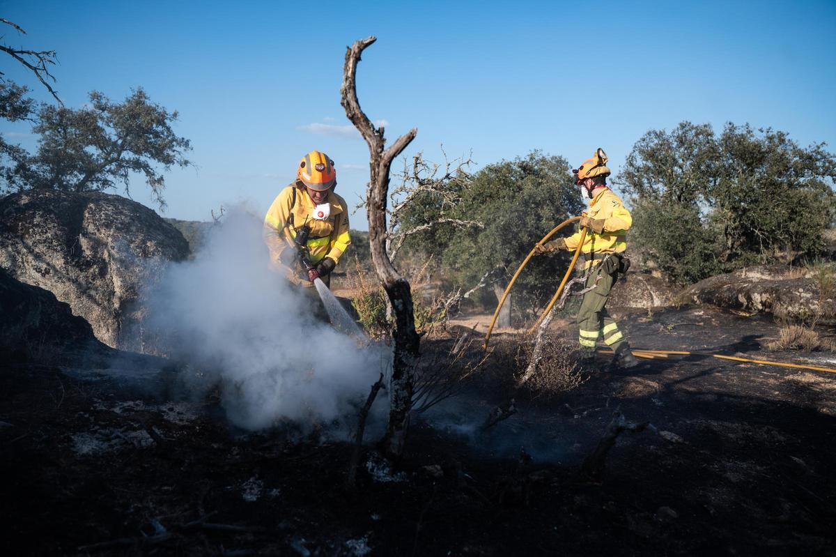Fotogalería | Las imágenes del incendio de Las Viñas, en Arroyo de la Luz