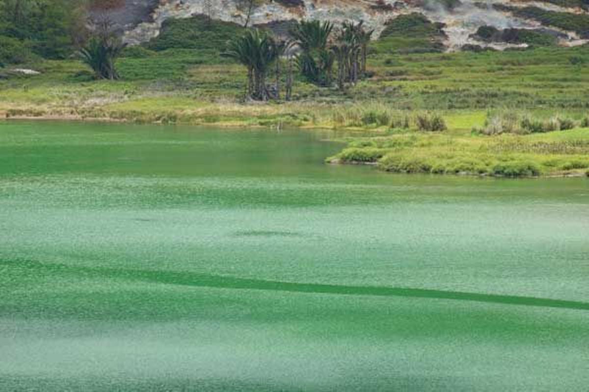 Las aguas del lago Linow se tiñen de verde debido a las emisiones volcánicas