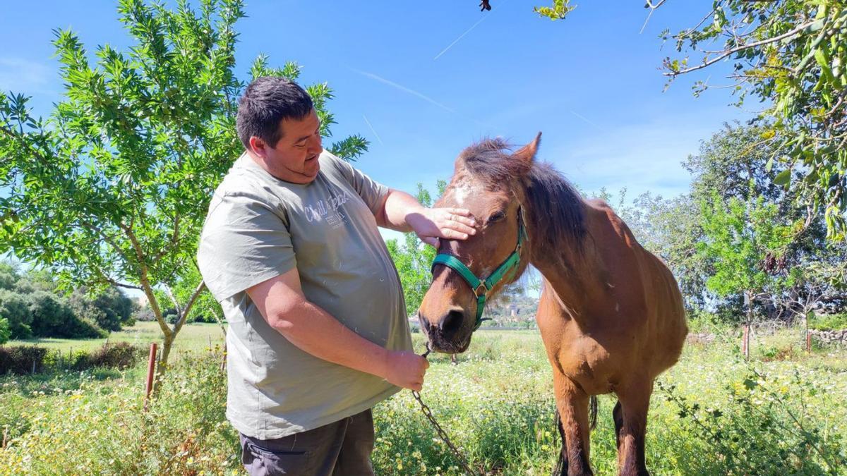 El candidato socialista y actual alcalde de Sant Llorenç acaricia a su yegua. | BIEL CAPÓ