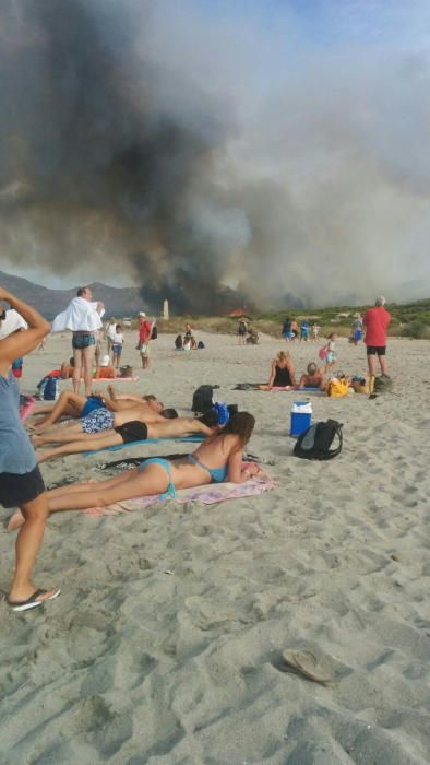 Im Gebiet von sa Canova im Nordosten von Mallorca ist am Mittwochnachmittag (17.8.) erneut ein Waldbrand ausgebrochen, nachdem es nur zwei Tage zuvor bereits gebrannt hatte. Das Feuer war gegen 2 Uhr nachts unter Kontrolle und zerstörte rund 23 Hektar Kiefernwald.