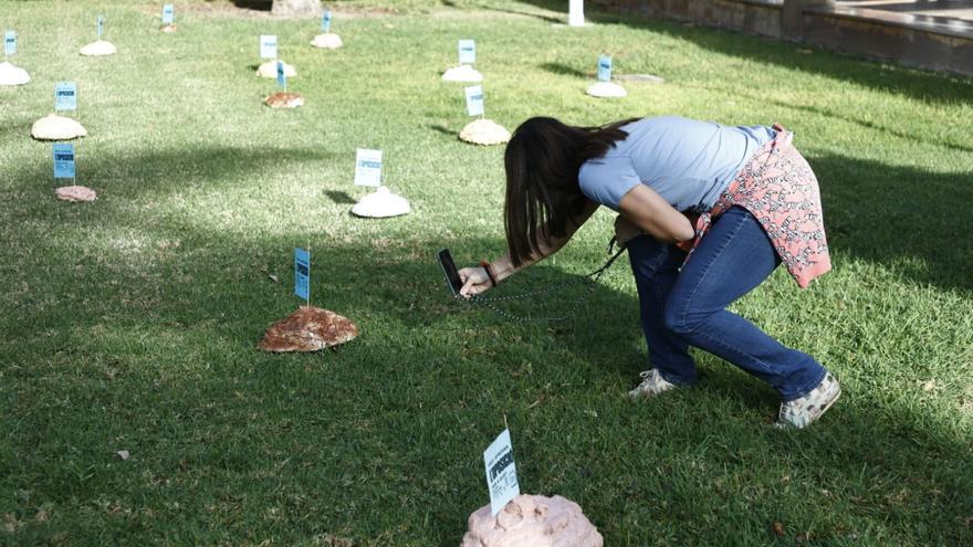 Docentes plantan heces falsas en Conselleria de Educación en protesta por el concurso de traslados