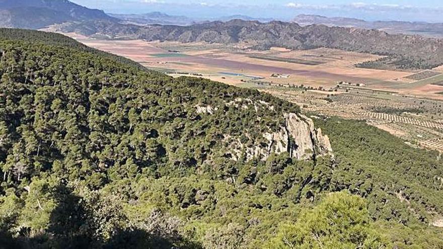 Uno de los enclaves más frondosos de la Sierra Salinas.