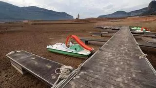 Ecologistas ven "temeraria" la tala puntual de árboles para aliviar los embalses en Catalunya