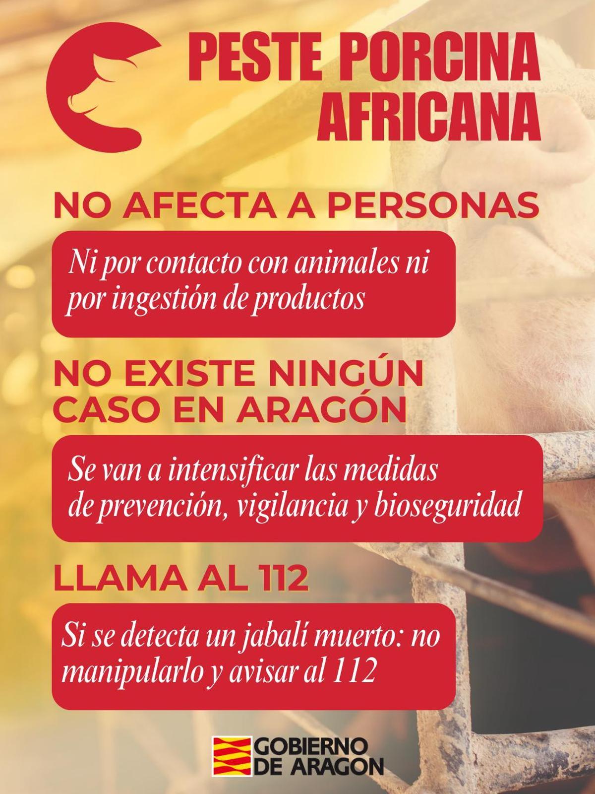 Principales medidas recomendadas por la DGA contra la peste porcina africana.