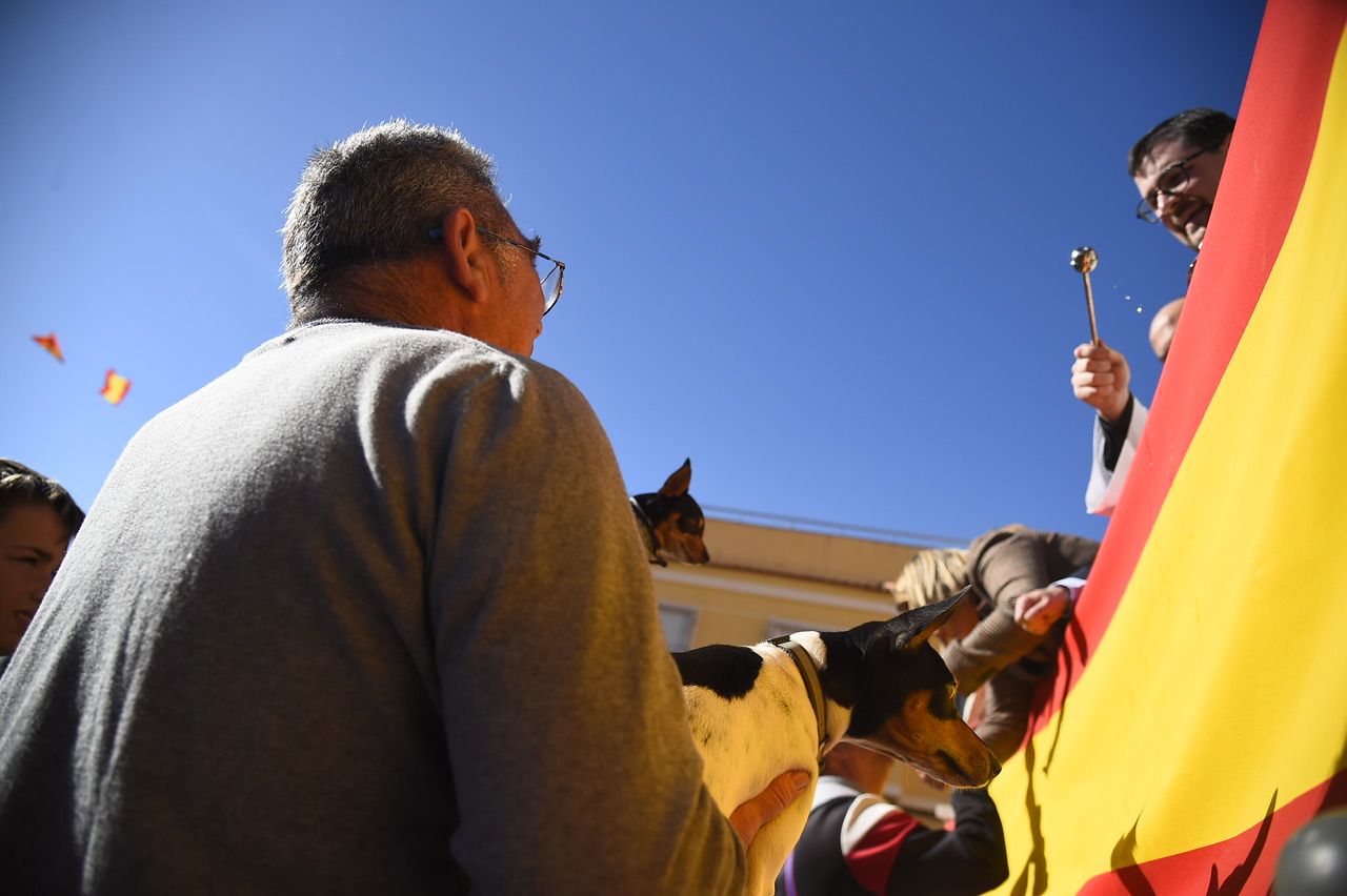 Bendición de animales por San Antón en Cartagena