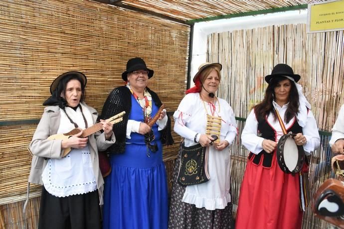 Fiestas del Almendro en Flor en Valsequillo: Día del Turista en Tenteniguada