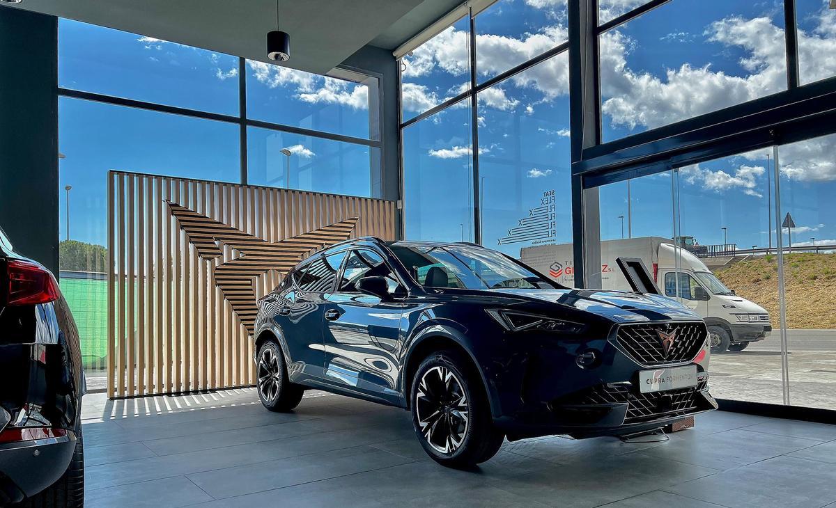 JR Valle ha incorporado a Cupra a su exposición de la Pista de Silla.