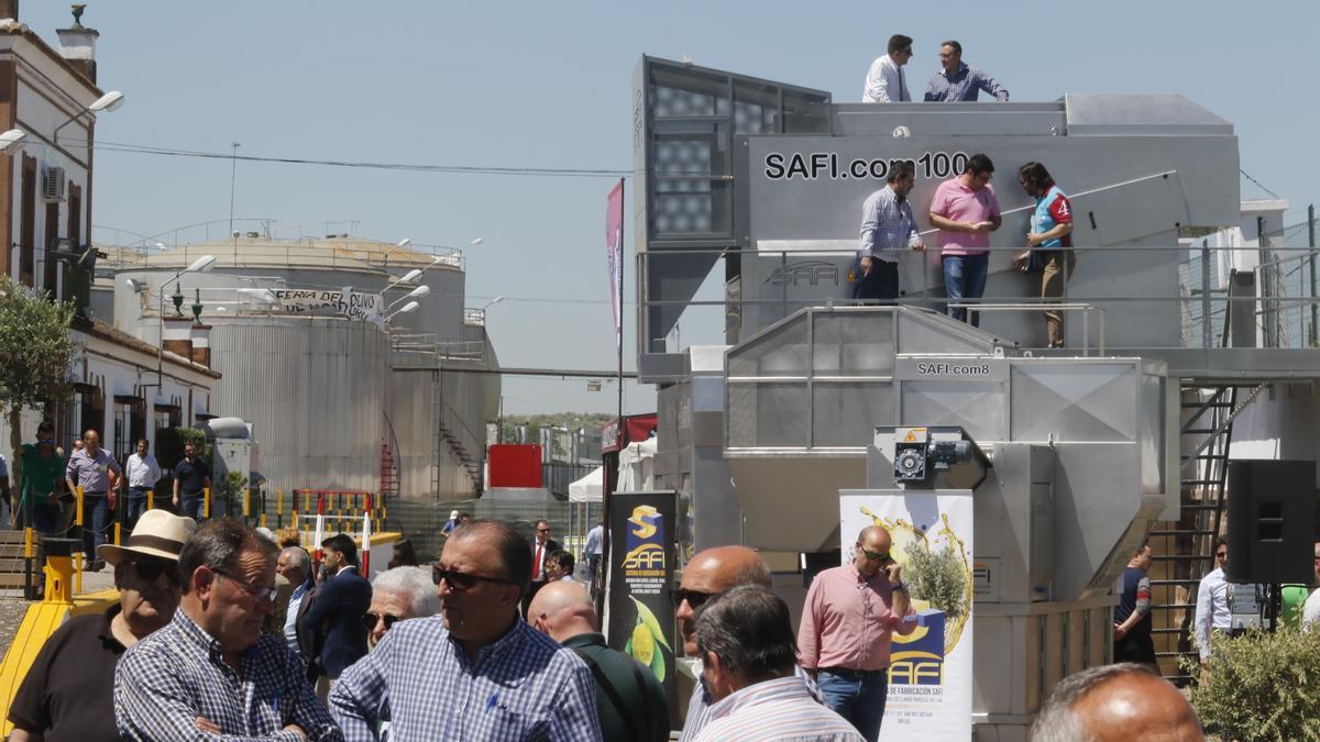 Imagen de archivo de una edición anterior de la Feria del Olivo de Montoro.