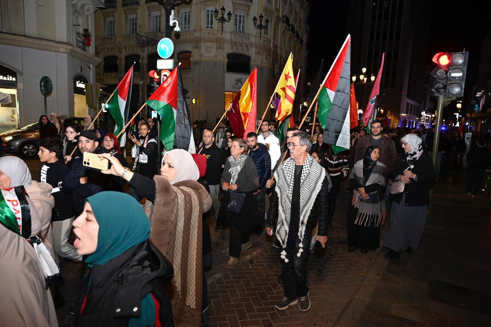 Galería: Manifestación en Castelló en defensa de Palestina