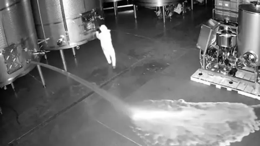 Vídeo | Sabotatge en un celler: llencen 2,5 milions d'euros en vi