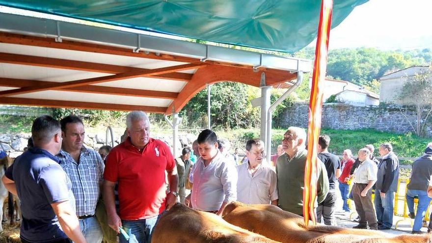 La feria ganadera celebrada el 8 de octubre del pasado año en Campo de Caso.