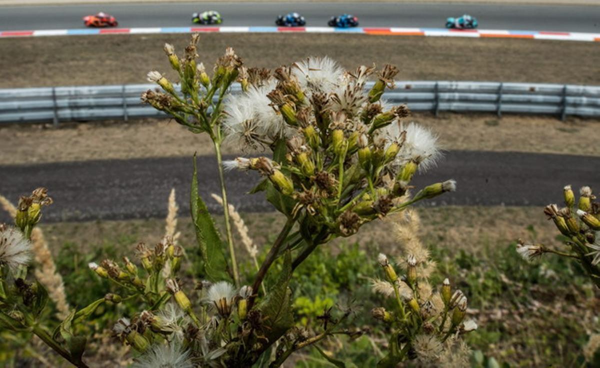 Gran Premio República Checa Moto 3
