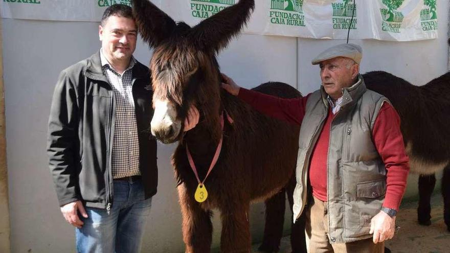 Víctor Casas (izquierda) con el ganadero Demetrio Fernández y la burra &quot;Carina&quot; nacida en Gallegos del Río.