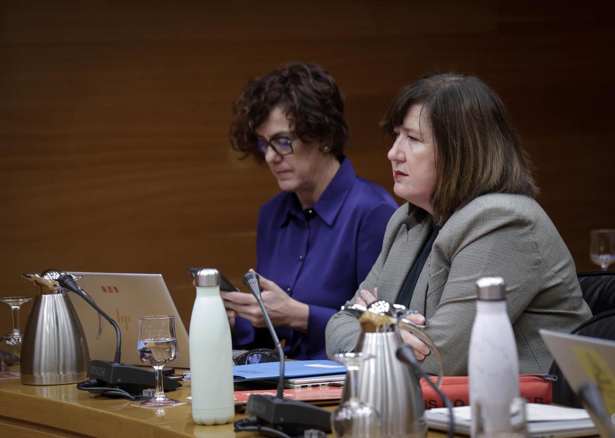 La diputada del PSPV, Charo Navalón, participa en la Comisión de Medio Ambiente, este jueves.