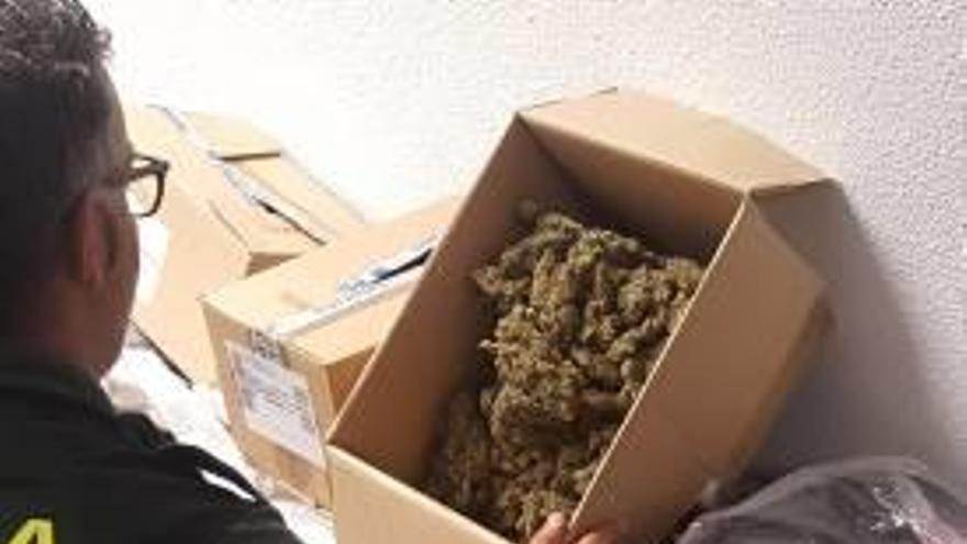 Detienen a cuatro personas en Sagunt con 40 kilos de marihuana