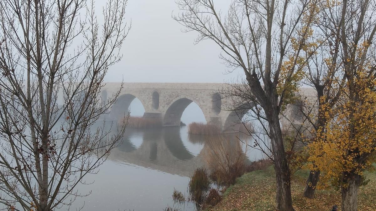 Niebla en Zamora.