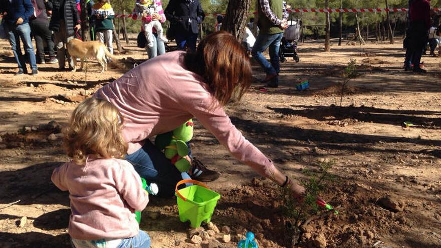 Bosque de la salud, una iniciativa de la Arrixaca para aumentar el contacto con la naturaleza