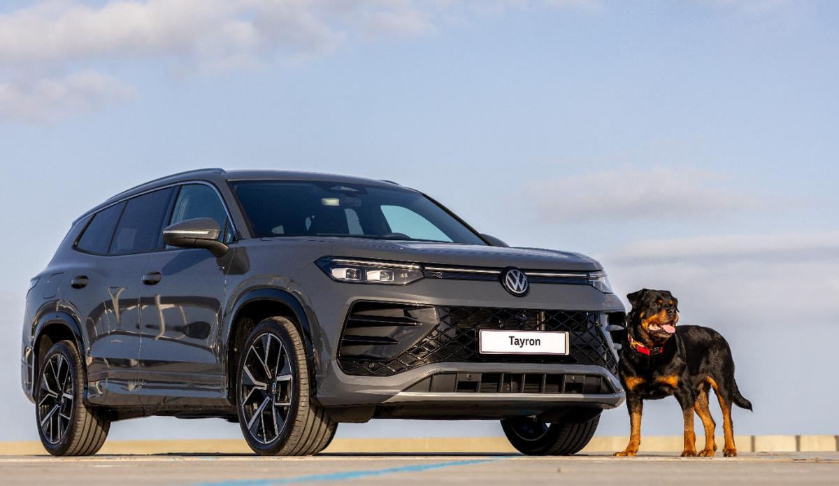 Volkswagen, la marca favorita de los canarios por 21 años consecutivos