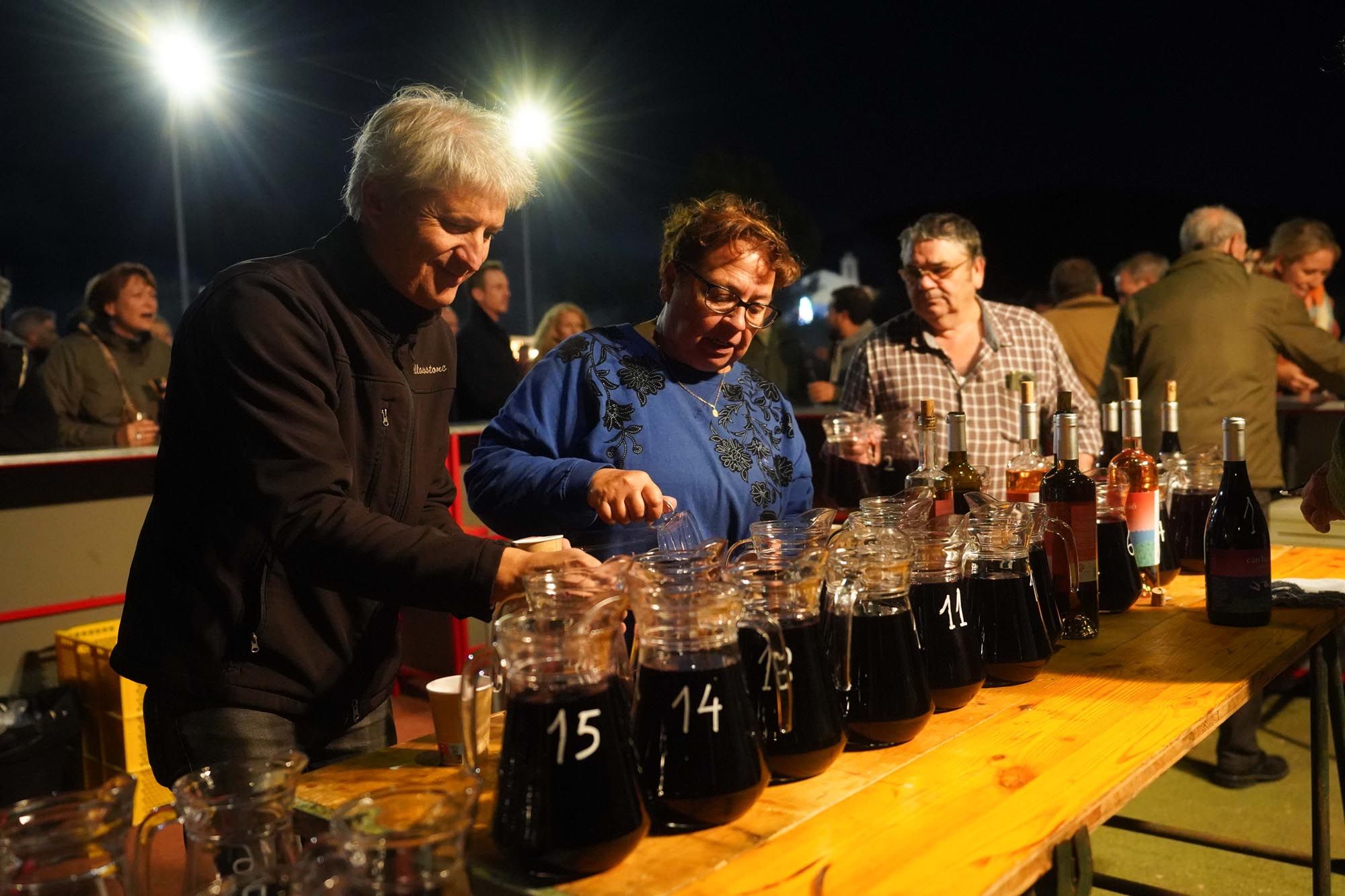 Todas las imágenes de la festa del Vi Pagès de Sant Mateu