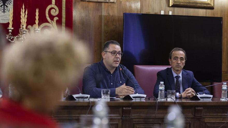 Pleno de la Diputación de Zamora.