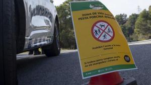 Detectats quatre nous casos de pesta porcina