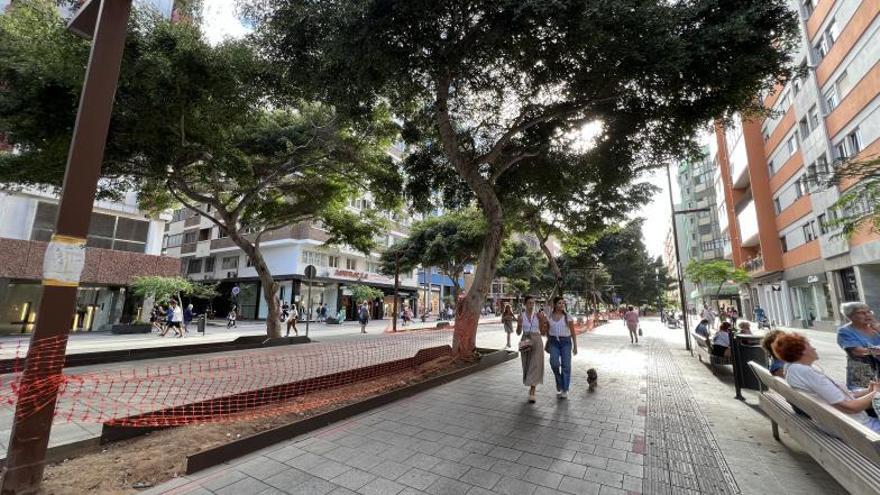 Imagen de las jardineras con árboles de las ramblas de Mesa y López.