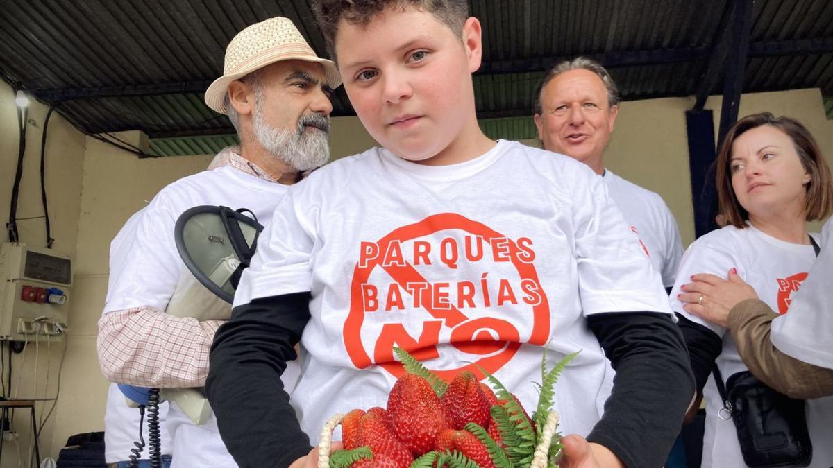 Candamo hace del Festival de la Fresa un alegato contra los parques de baterías en el medio rural