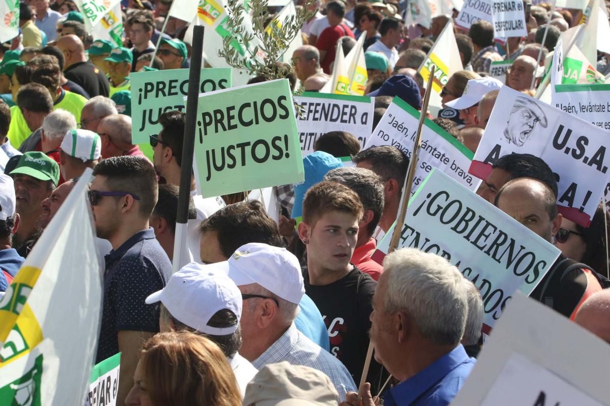 Córdoba se suma a la gran manifestación del olivar en Madrid