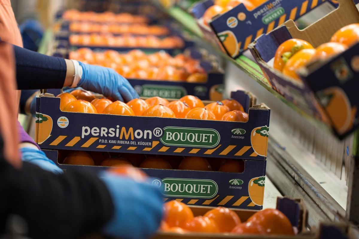 El Kaki Persimon® contiene un elevado índice de vitamina C, es antioxidante y altamente hidratante.