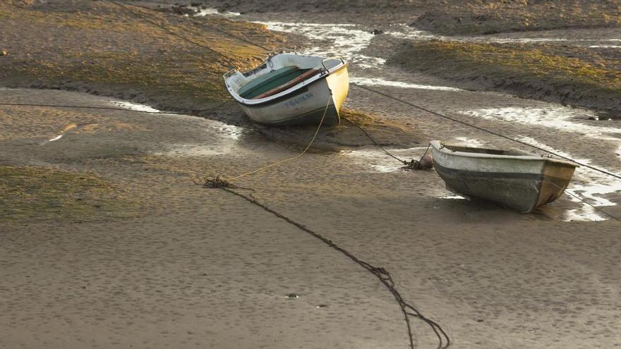 El Doñana asturiano