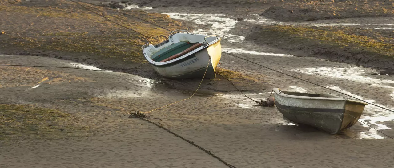 El Doñana asturiano