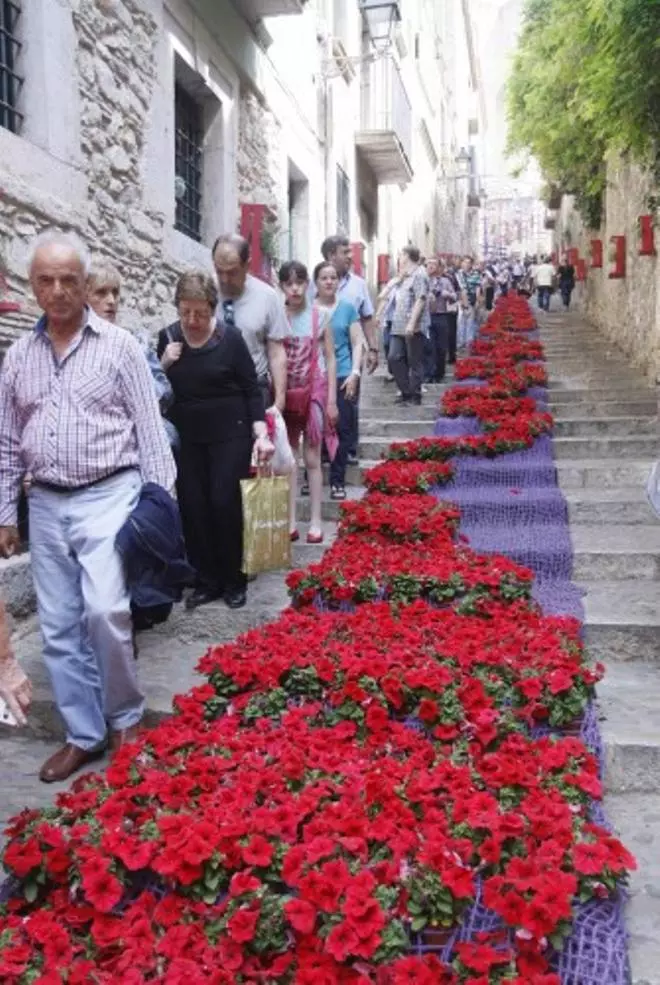 Segona jornada de Temps de Flors
