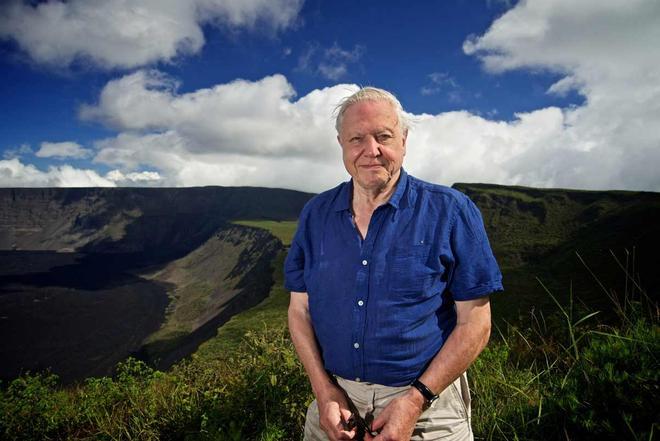El científico y naturalista televisivo Sir David Attenborough, en uno de sus documentales