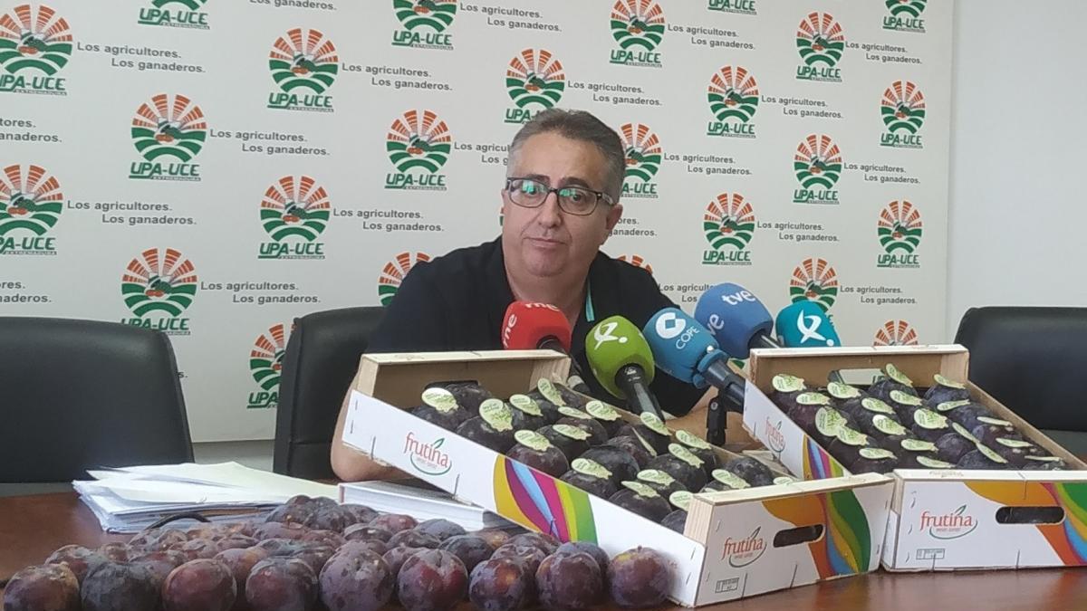 La falta de contratos impide a los agricultores entregar la fruta en las centrales hortofrutícolas de Extremadura