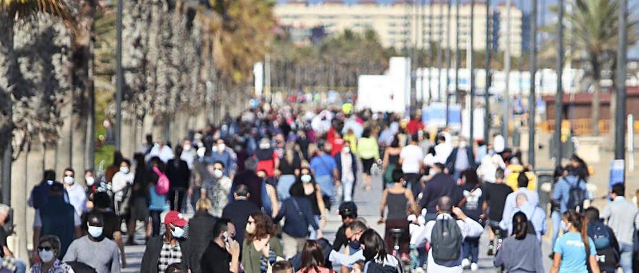 Paseo Marítimo de València en una imagen de archivo.  | F. CALABUIG