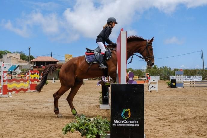 Hípica - Concurso Nacional de Saltos Gran Canaria