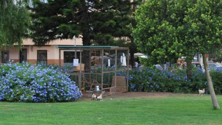 La nueva &#039;vivienda&#039; de las gallinas de la rotonda de la plaza Madrid, ayer tarde.