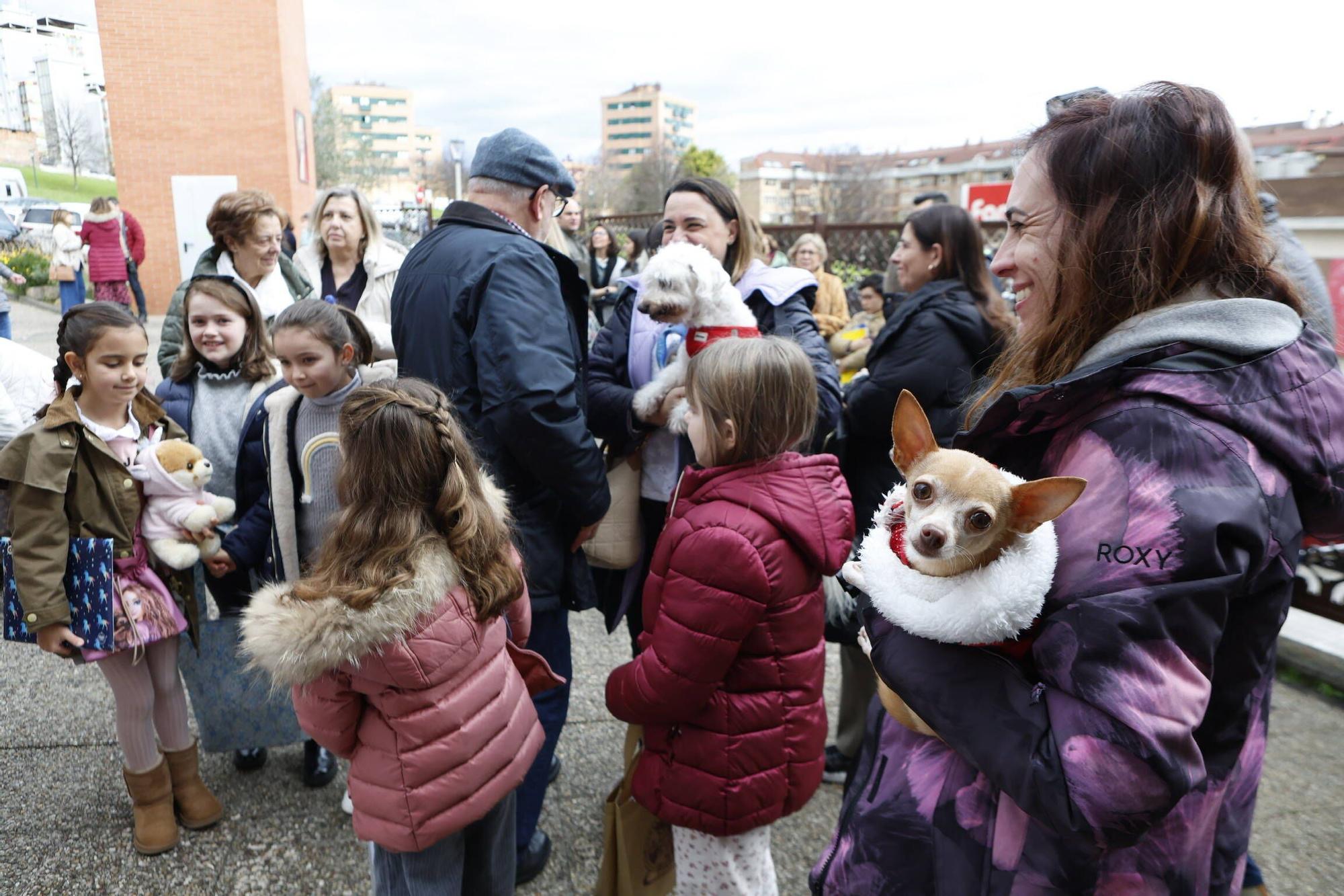 Bendición mascotas en Gijón en la parroquia de Viesques