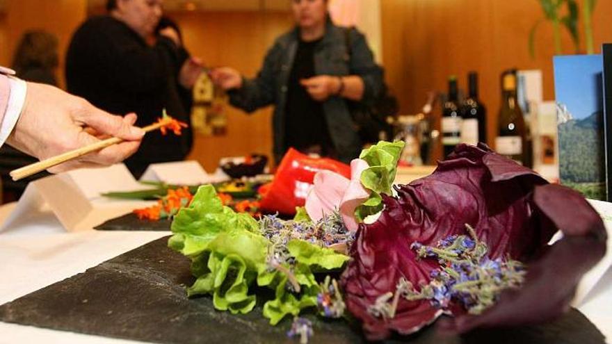 Exposición de flores comestibles para una degustación organizada en un hotel de Pontevedra. / la opinión