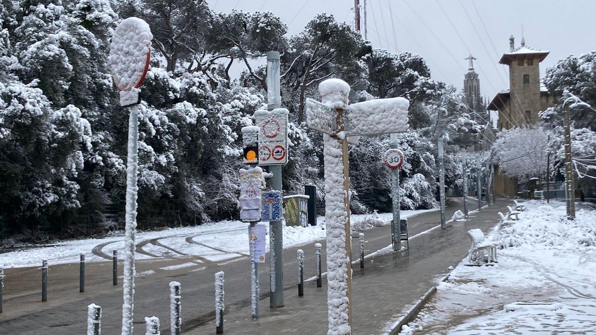 La nieve llega a Barcelona: Collserola, cubierta de blanco