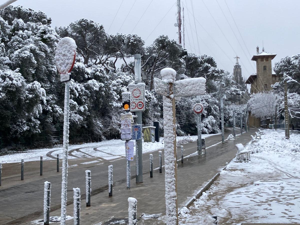 La nieve llega a Barcelona: Collserola, cubierta de blanco