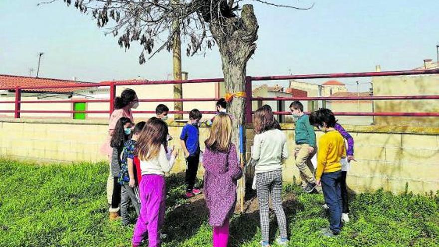 Varios niños toman notas alrededor de uno de los árboles del patio del centro. | Cedida