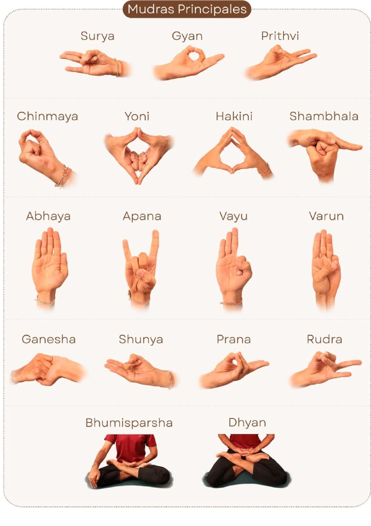 Mudras principales del yoga.