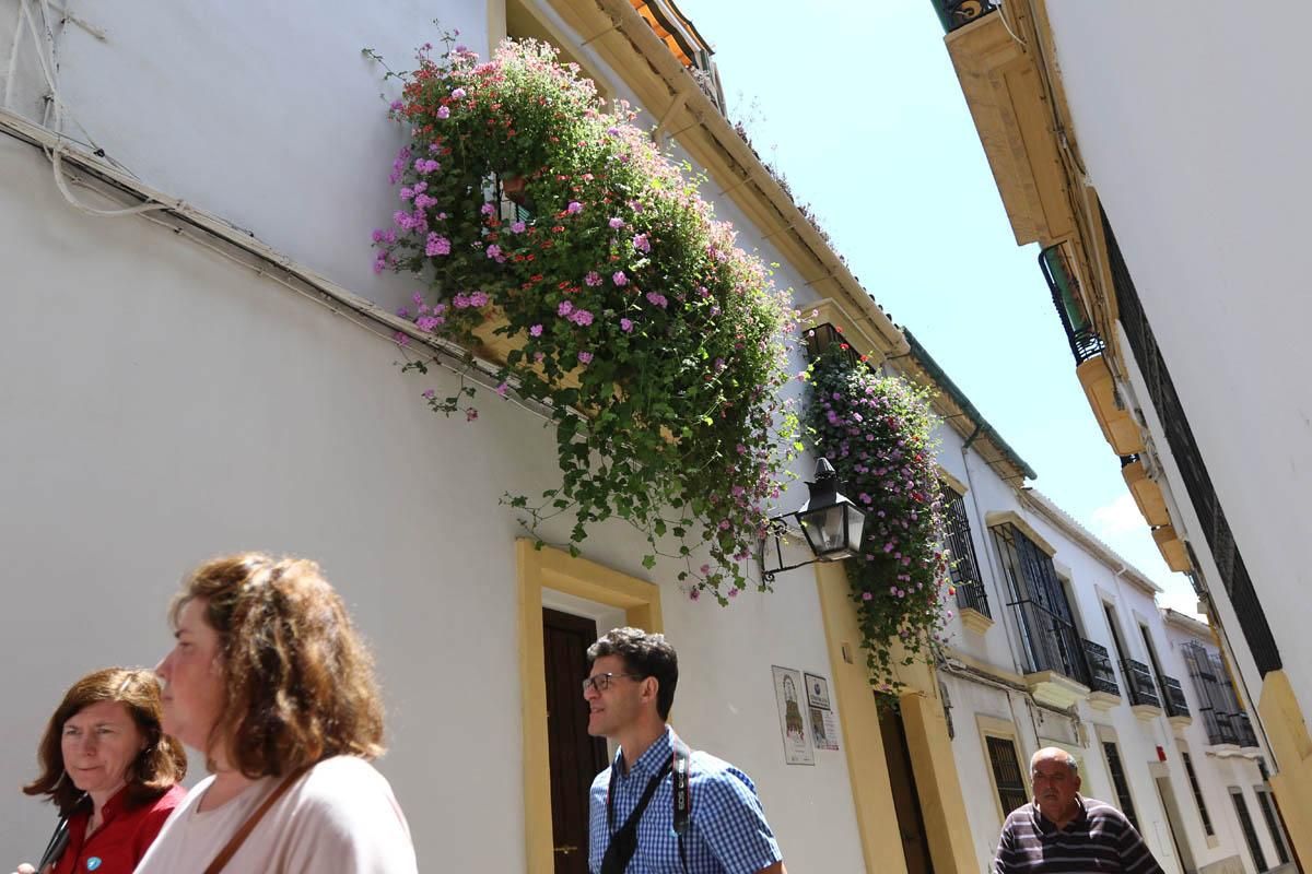 Fotogalería / Concurso municipal de Rejas y Balcones