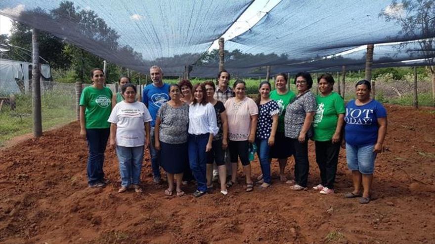 Apuesta del Ayuntamiento por diez huertos ecológicos