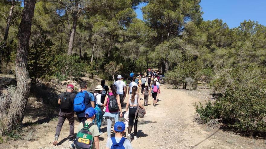 Una caminata para disfrutar del entorno