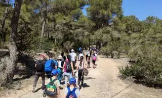 Una caminata para disfrutar del entorno