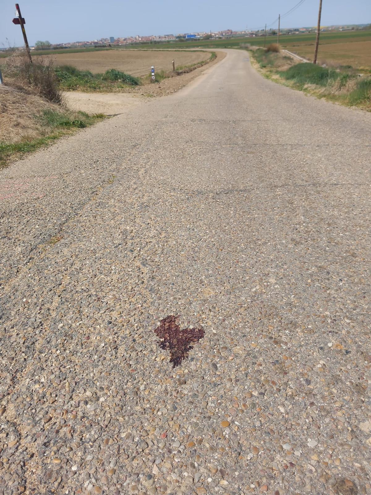 Rastro de sangre del animal en el camino viejo de Villaralbo.