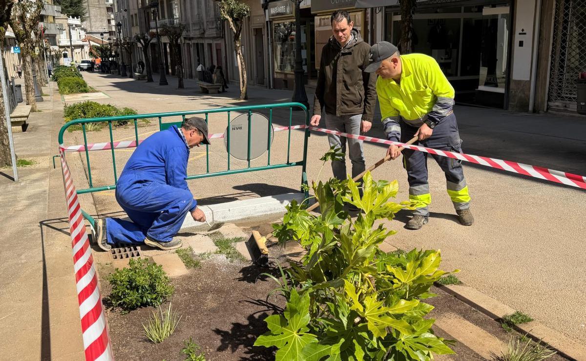 Cuñarro supervisó ayer los trabajos en la calle Joaquín Loriga. | FDV