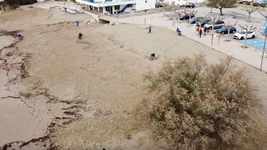 Plàstics de tamany petit dificulten la tasca de neteja de Platges Netes Llançà